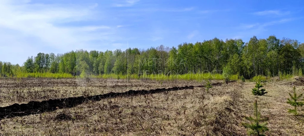 Продажа земельного участка, Тюменский район, Тюменский р-н - Фото 4