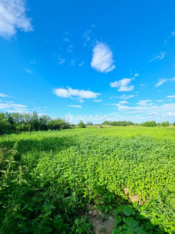 Суздальский район, село Глебовское, Центральная улица,  дом на продажу - Фото 19