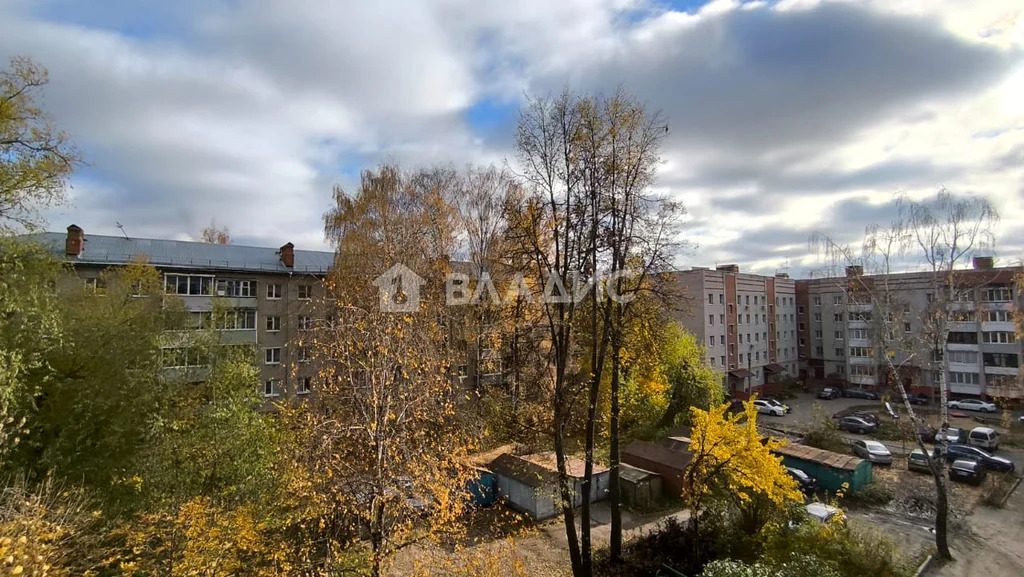 городской округ Владимир, Михайловская улица, д.30, 1-комнатная ... - Фото 31