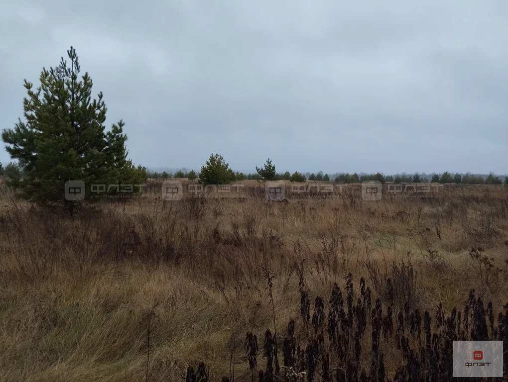 Продажа участка, Лебяжье, Алексеевский район, ул. Крымская - Фото 3