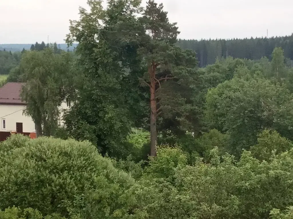 Купить Дом В Радумля Солнечногорский