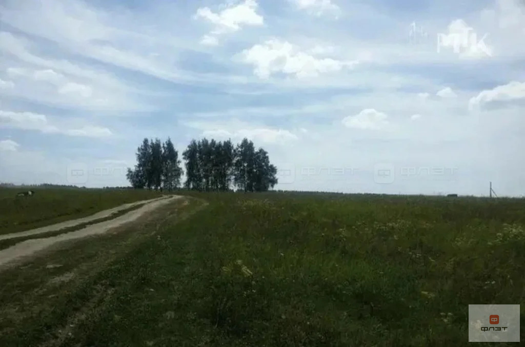 Продажа участка, Большие Кургузи, Зеленодольский район, ул. Николая ... - Фото 1