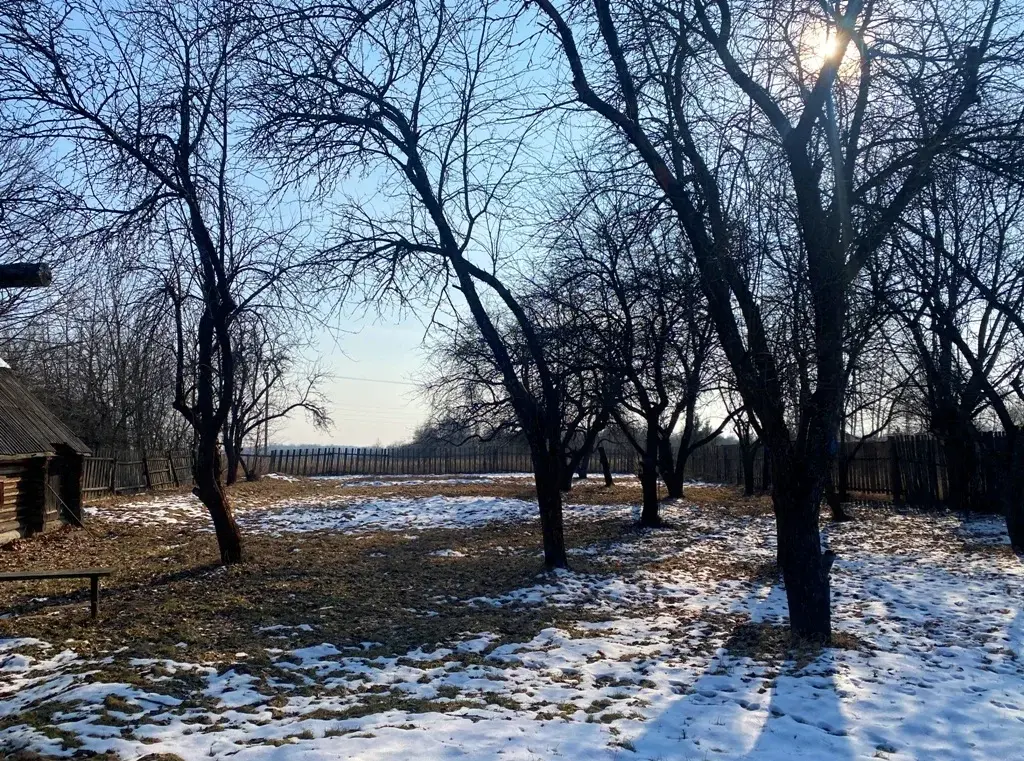 Дом в деревне Колионово - Фото 17