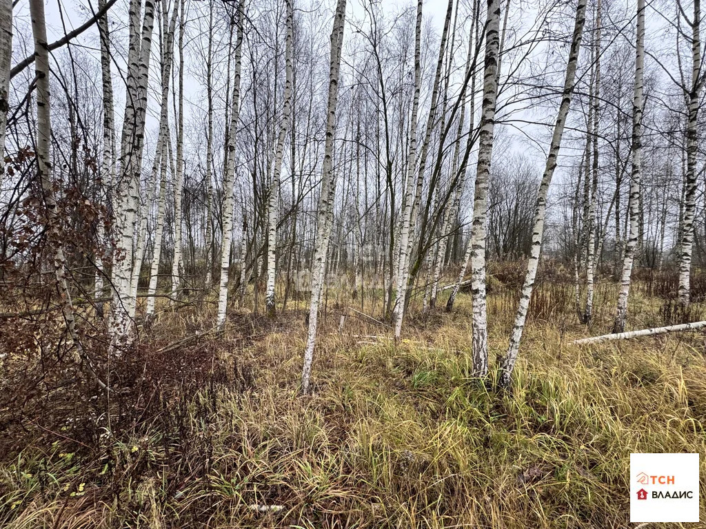 Продажа участка, Сергиев Посад, Сергиево-Посадский район, Суворицкая ... - Фото 4