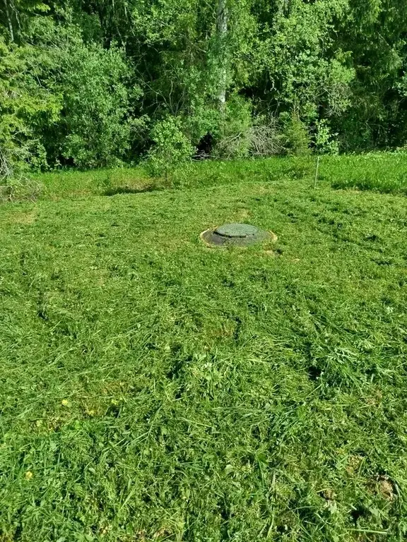 Земельный участок у леса - Фото 6