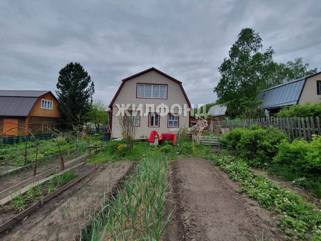 Снт зеленоградец. Дача в успенке мошковский продам. Кошево новосибирская область. Погода в снт линза новосибирская область. Погода в снт линза новосибирская область.