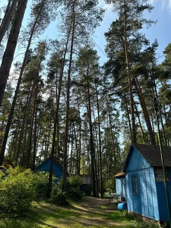 База отдыха "Голубой Залив" (Республика Татарстан, Лаишевский район) - Фото 9