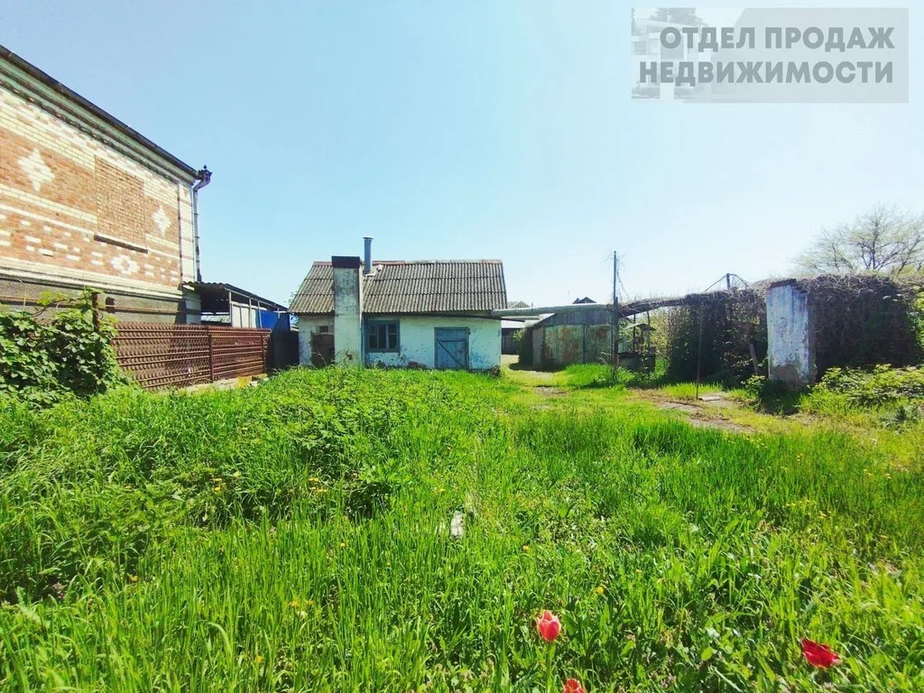 Участок - Фото 4