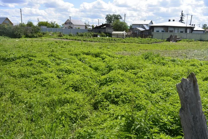 Купить Участок В Октябрьском Районе Новосибирска