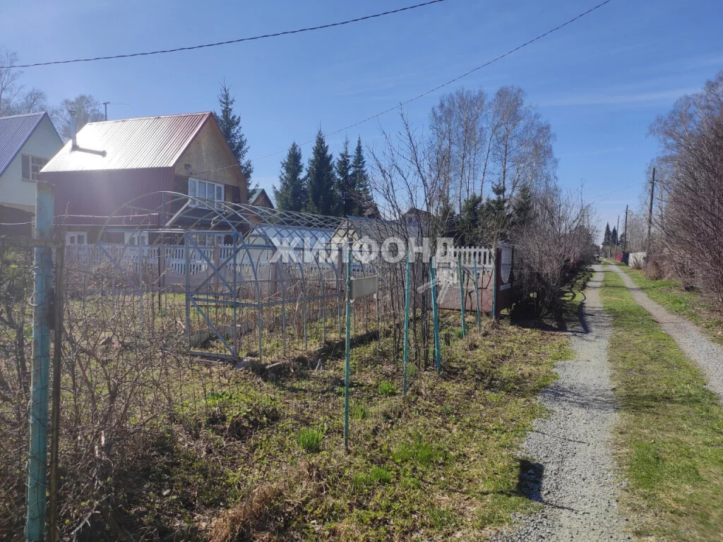 Купить Дачу В Тогучинском Районе Новосибирской Области