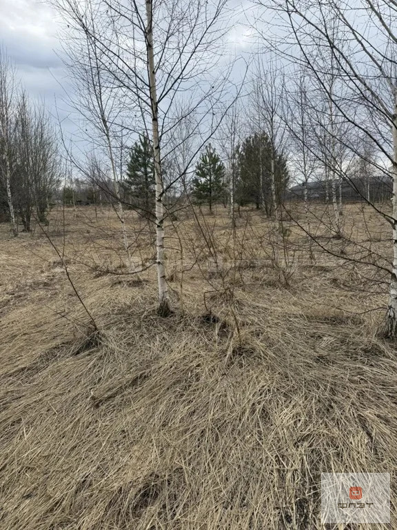 Продажа участка, Большие Кургузи, Зеленодольский район, ул. Солнечная - Фото 4