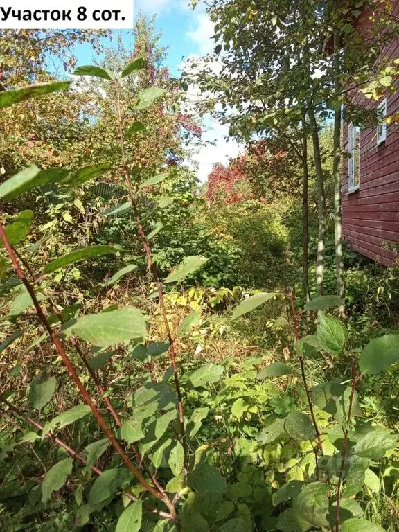 Продаю дом 99.5м Московская область, Мытищи городской округ, ... - Фото 12