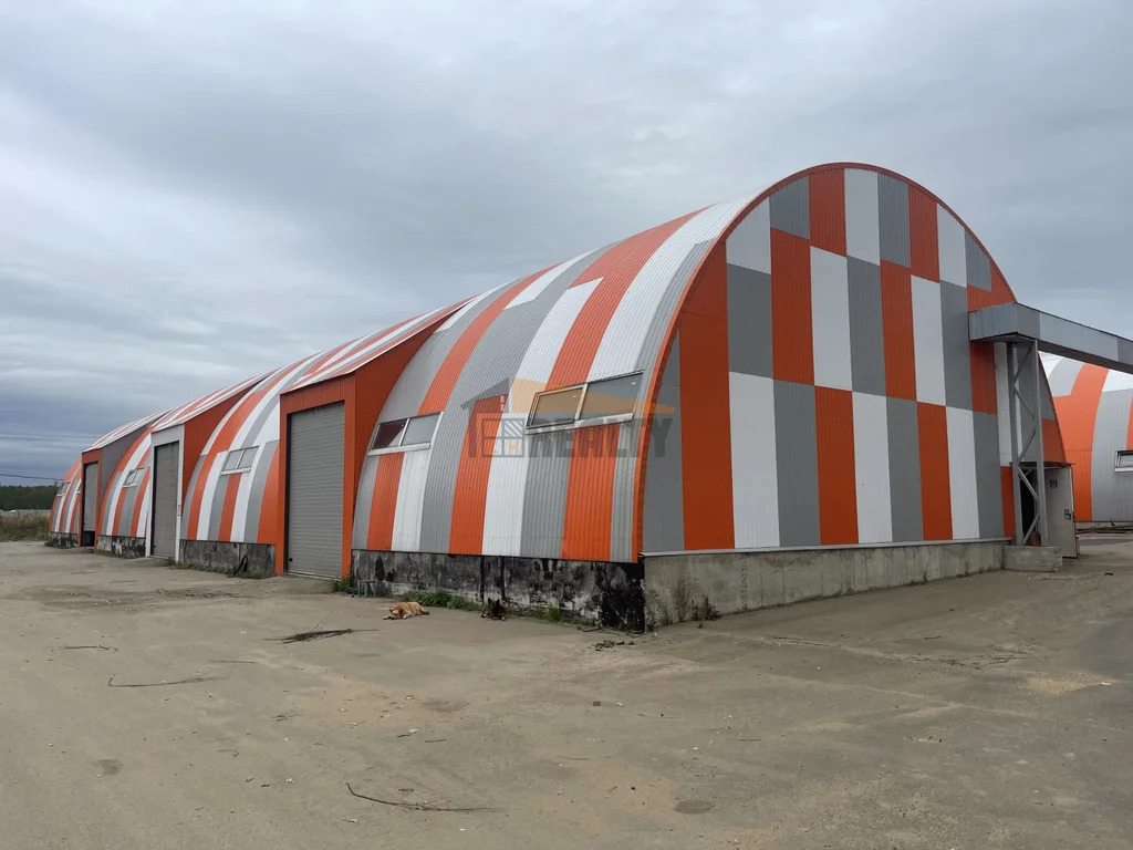 Аренда производственного помещения, Алешино, Пушкинский район - Фото 3