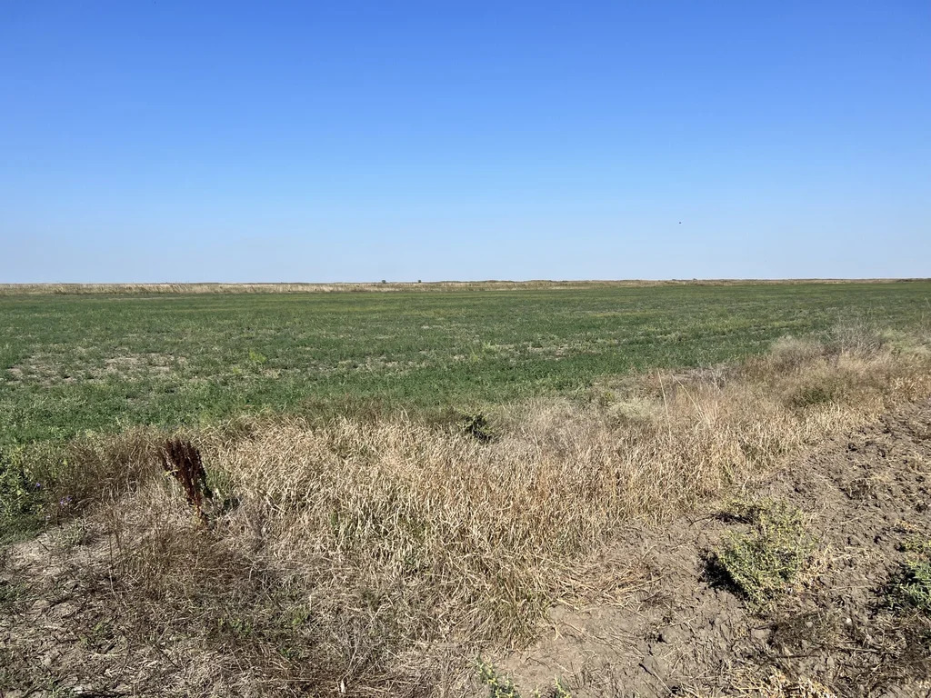 Продажа участка, Голубицкая, Темрюкский район - Фото 1