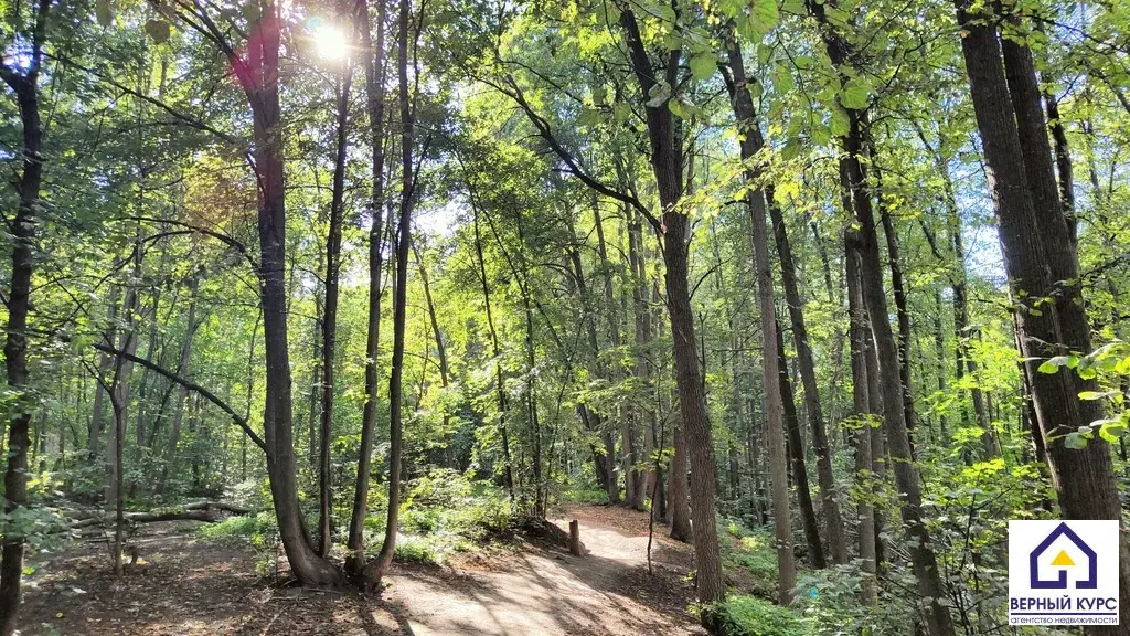 1-к. квартира, 43,7 м, 4/17 эт. - Фото 32