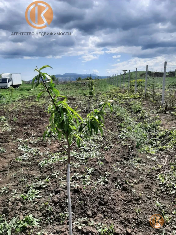 Продажа участка, Дружное, Симферопольский район, ул. Школьная - Фото 3