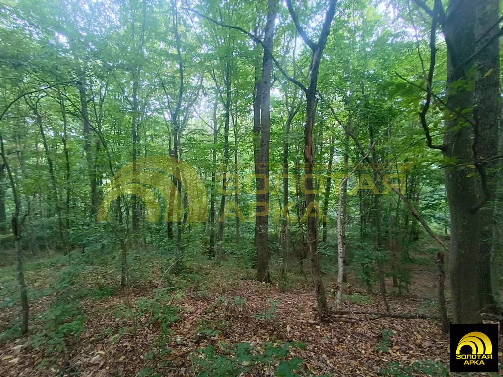 Продажа участка, Чибий, Северский район - Фото 9