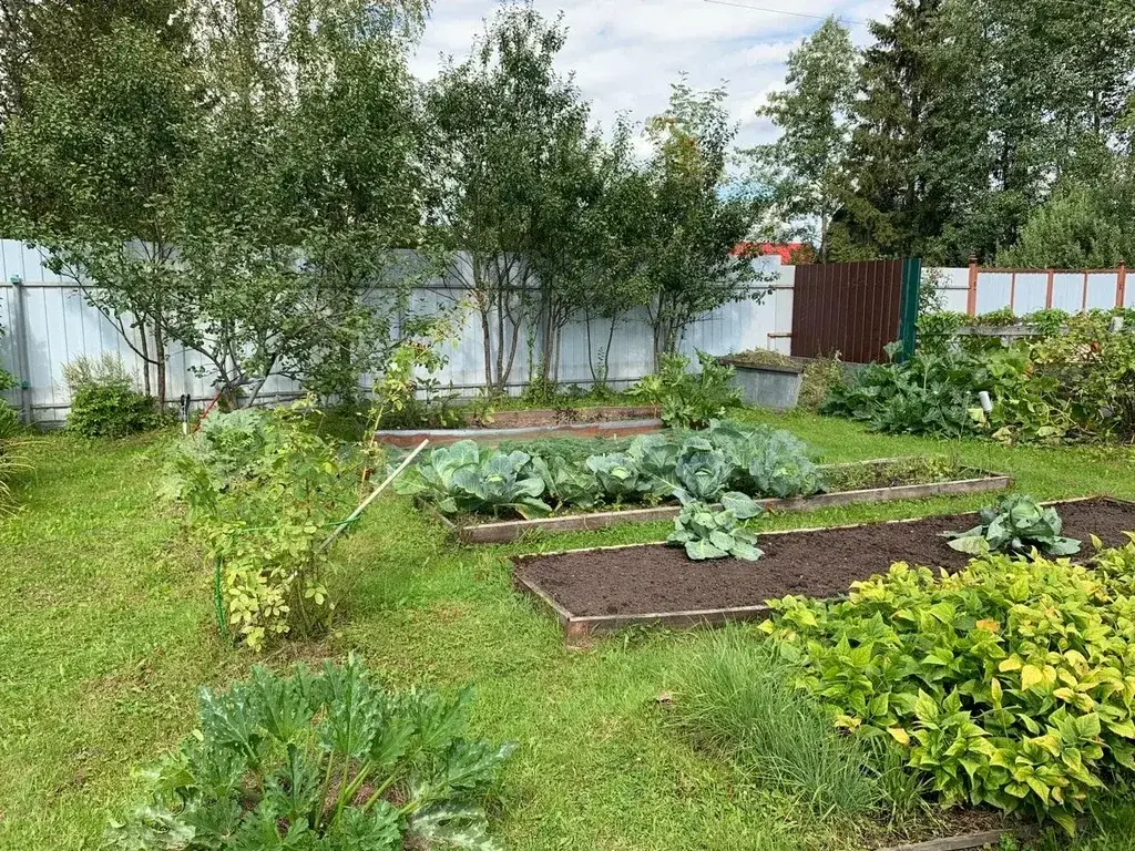 Дом 30 м2 на участке 6 сот. - Фото 11