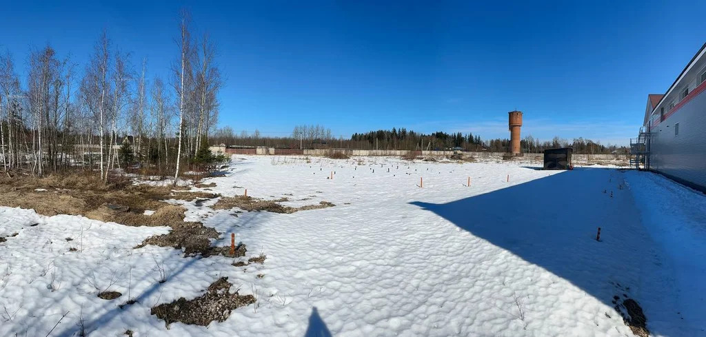 Продается земельный участок 200 сот. - Фото 1