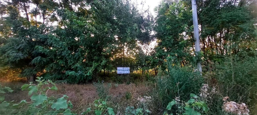 Продажа участка, Оазис, Северский район, ул. Центральная - Фото 8