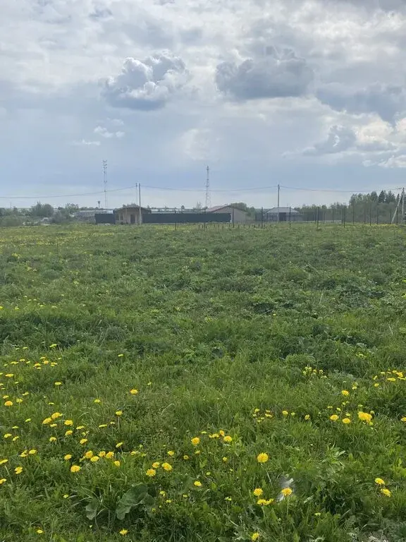 Участок - Фото 5