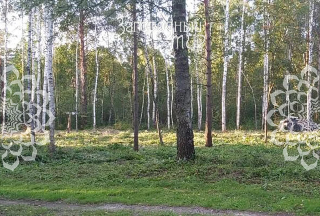 Продам участок, Дмитровское шоссе, 115 км от МКАД - Фото 1