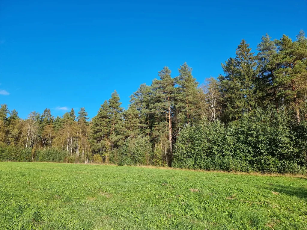 Продажа участка, Солнечное, Приозерский район - Фото 15