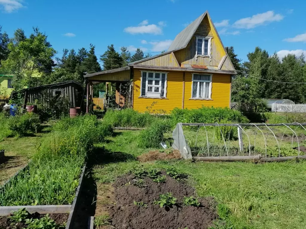 Купить Дом Дачу Вологда Авито Ру