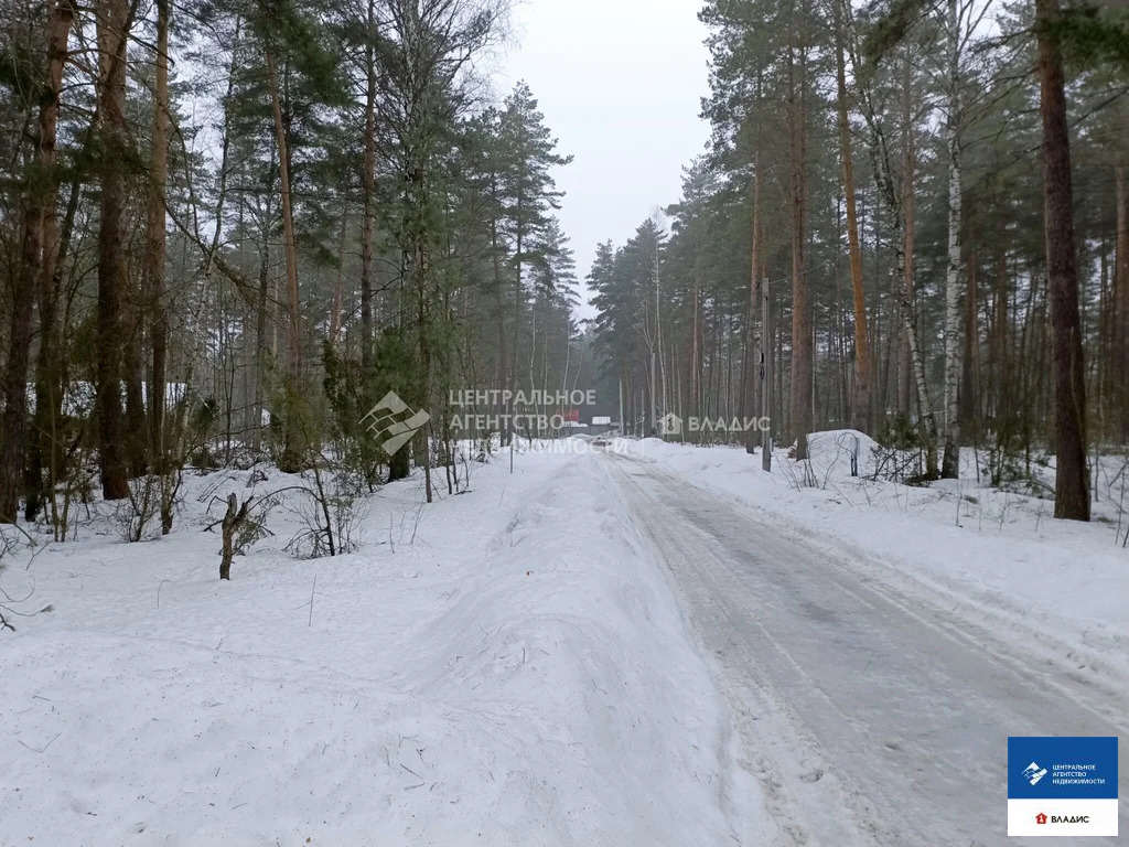 Продажа участка, Рязанский район, садоводческое товарищество Лесной - Фото 3