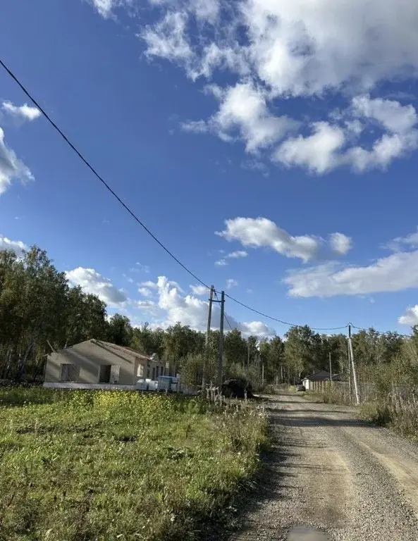 Земельный участок у леса - Фото 3