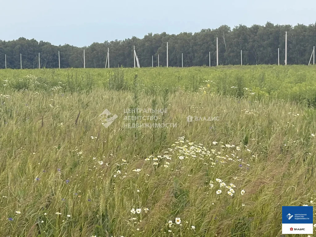 Продажа участка, Высокое, Рыбновский район - Фото 11