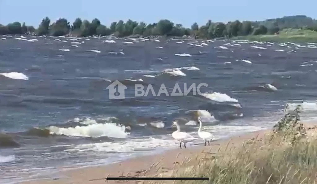Гдовский район, деревня Сторожинец,  земля на продажу - Фото 0