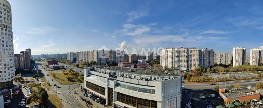 Москва, Люблинская улица, д.165к2, 3-комнатная квартира на продажу - Фото 11