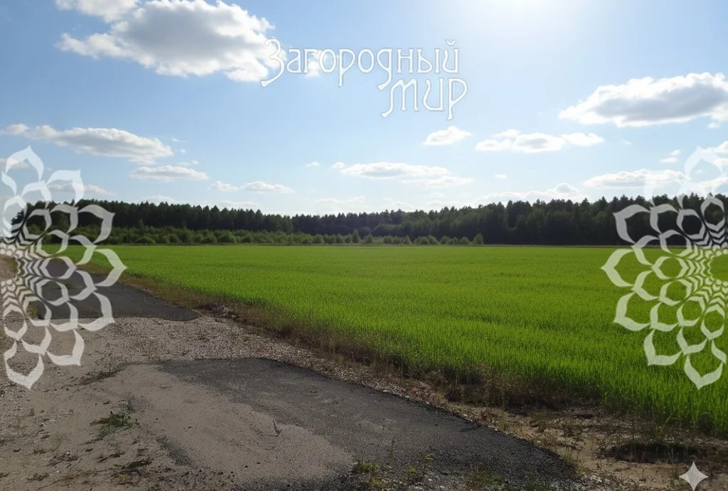 Продам участок, Щелковское шоссе, 76 км от МКАД - Фото 4