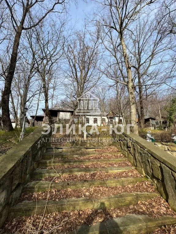 Продажа готового бизнеса, Агой, Туапсинский район, ул. Центральная - Фото 7