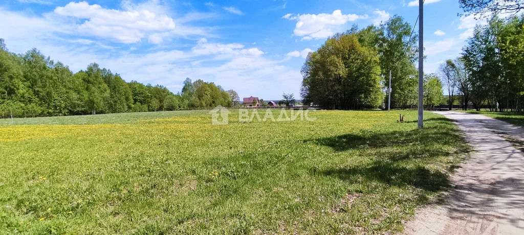 Петушинский район, деревня Пекша, Городок-Левитановская улица, земля . - Фото 1