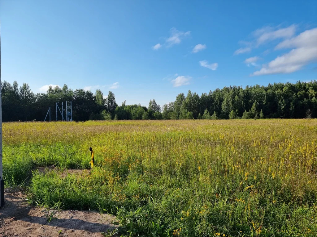 Продажа участка, Озерки, Всеволожский район - Фото 3