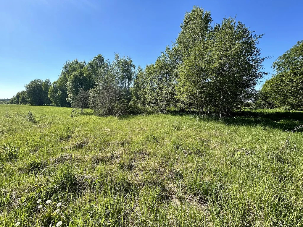 Продажа участка, Береговское, Талдомский район - Фото 1