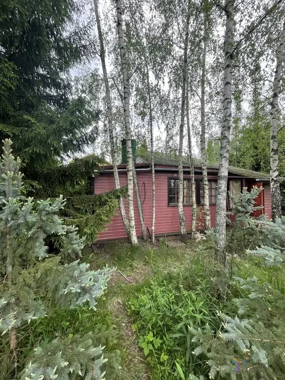Продаю дачу 60 кв. м СНТ «Плутон», рядом с д. Волково Ступинский район - Фото 0
