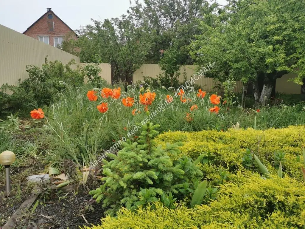 Продается дом в ближайшем пригороде Таганрога, Греческие роты - Фото 20