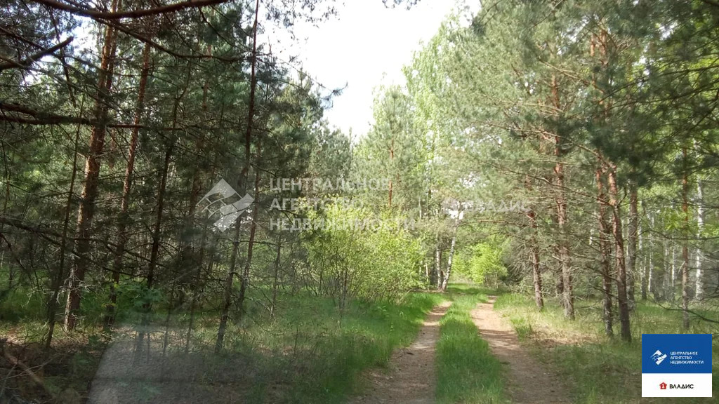 Продажа дома, Велье-Родионовка, Спасский район - Фото 44
