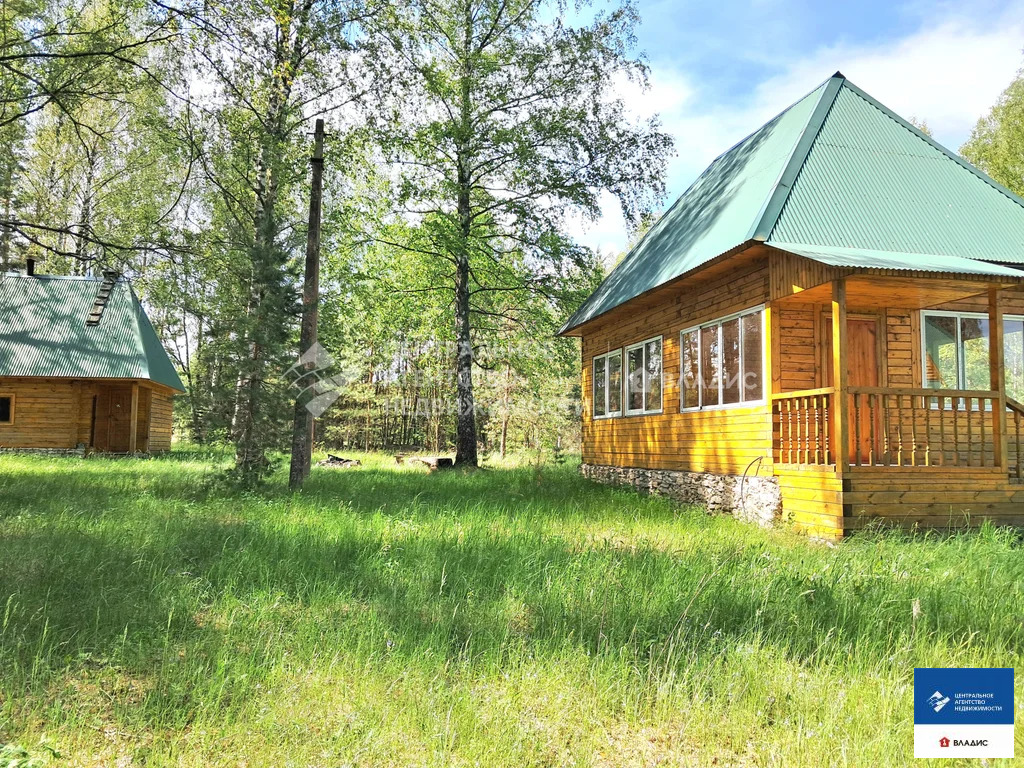 Продажа дома, Большой Мутор, Касимовский район - Фото 8