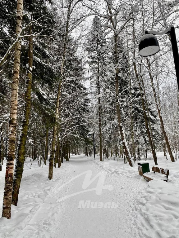 Продажа квартиры, Лобня, ул. Калинина - Фото 38