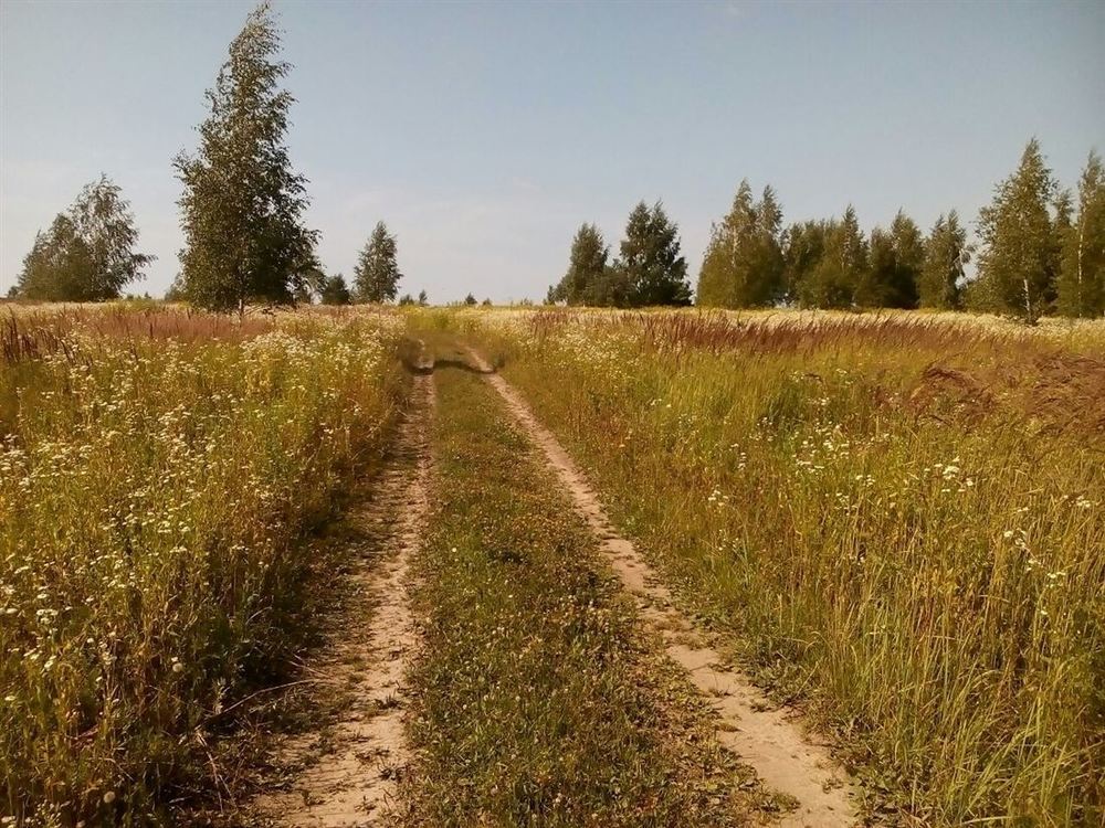 Купить Землю В Деревне Тульской Области