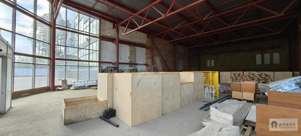 Аренда помещения (ПСН) пл. 547 м2 под автосалон, бытовые услуги, кафе, ... - Фото 4