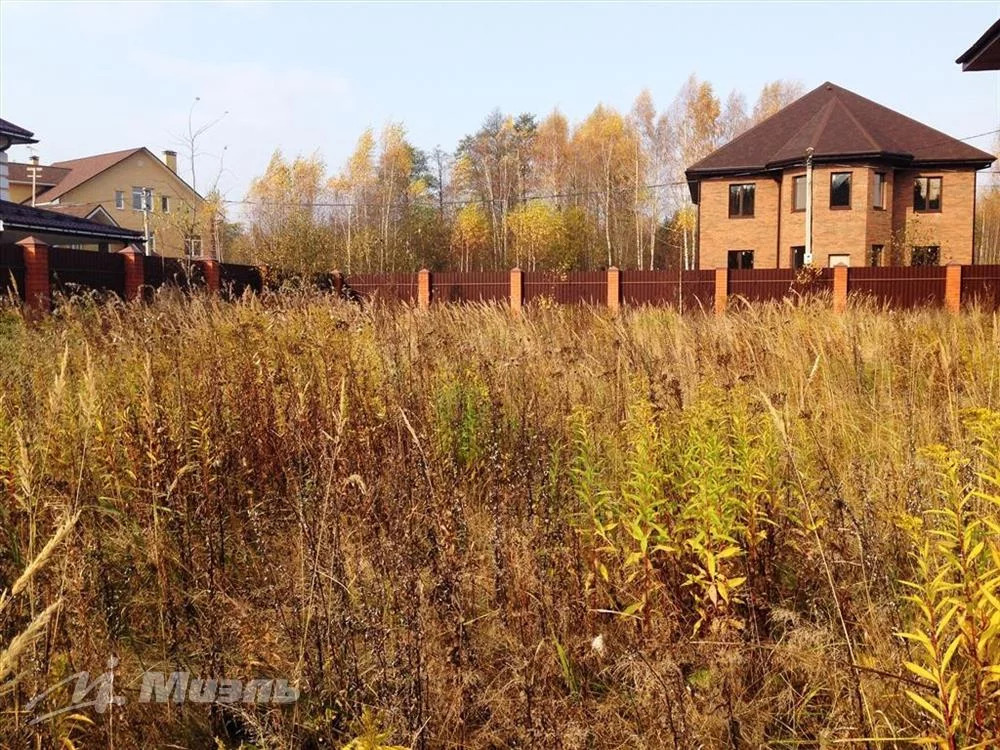 Дом шишкана в раменском районе фото