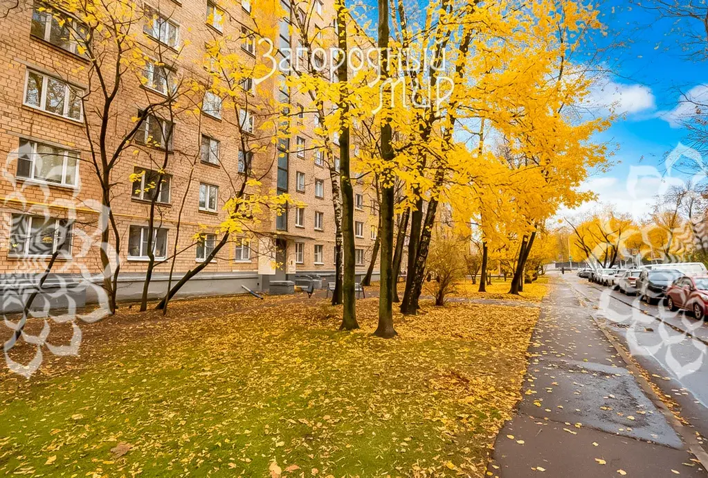 1-комнатная квартира в Москве - Фото 13