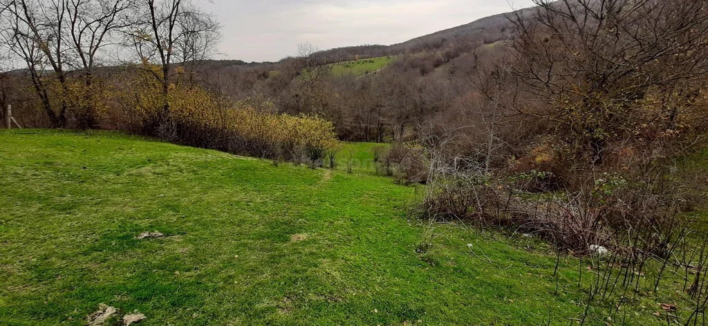 Продажа участка, Богатырь, Бахчисарайский район, ул. Шевченко - Фото 5