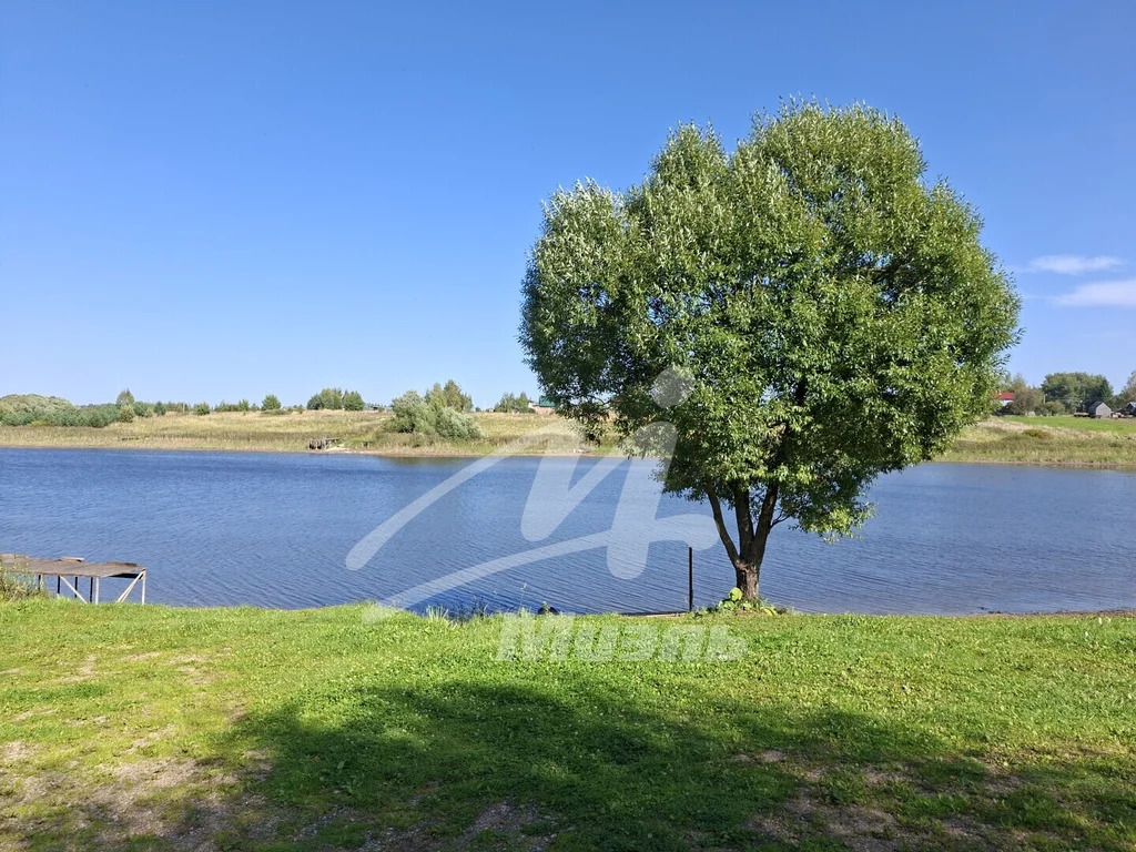 Продажа дома, Никитино, Сычевский район, Новая ул. - Фото 19