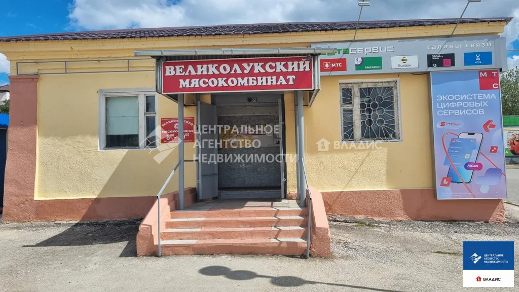 Аренда торгового помещения, Путятино, Путятинский район, ул. ... - Фото 0